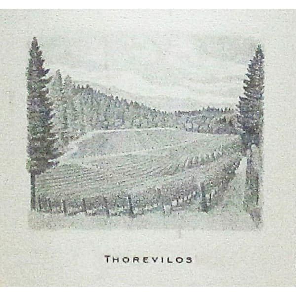 Rượu vang đỏ Abreu Vineyards Thorevilos 2006