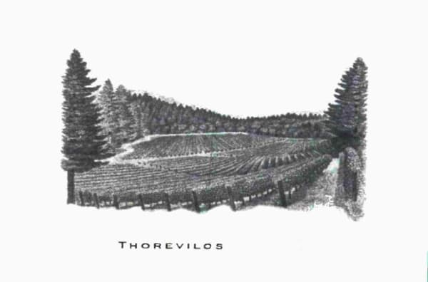 Rượu vang đỏ Abreu Vineyards Thorevilos 2010