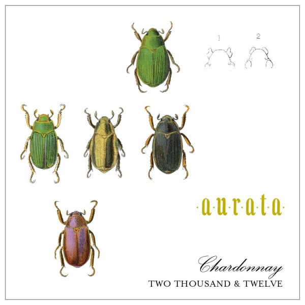 Rượu vang trằng Antica Terra  Aurata Chardonnay 2012