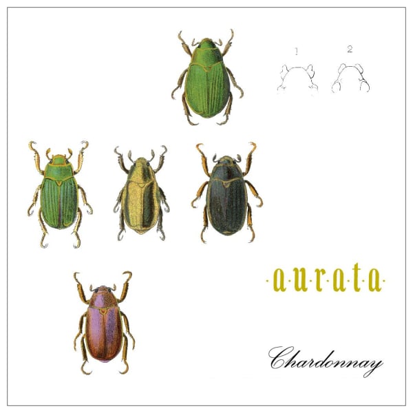 Rượu vang trằng Antica Terra  Aurata Chardonnay 2017