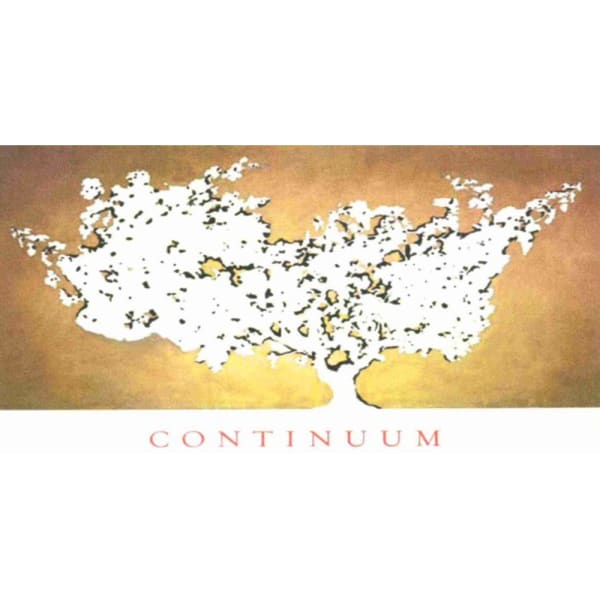 Rượu vang đỏ Continuum (chai Magnum 1,5 lít) 2014