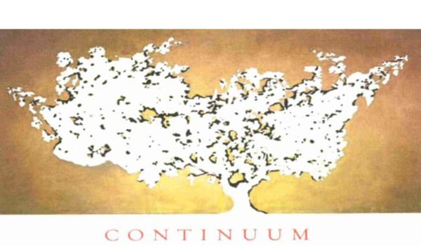 Rượu vang đỏ Continuum (chai Magnum 1,5 lít) 2015