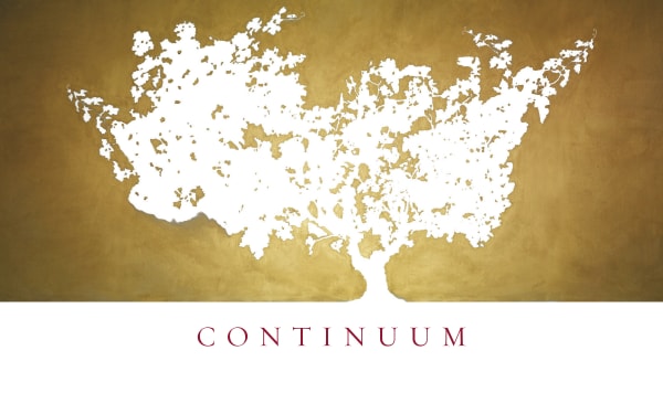 Rượu vang đỏ Continuum (chai Magnum 1,5 lít) 2019