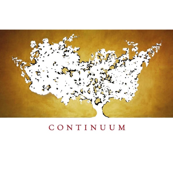 Rượu vang đỏ Continuum (signed) 2013