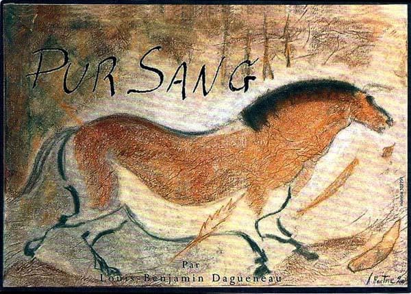 Rượu vang trằng Didier Dagueneau Pouilly-Fume Pur Sang 2009