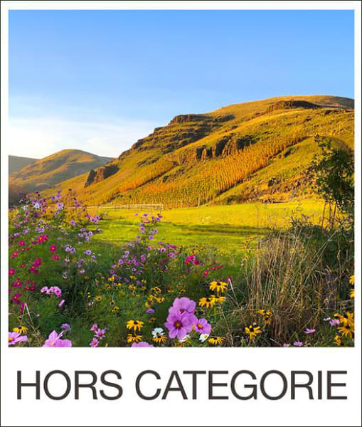 Rượu vang đỏ Hors Categorie Syrah 2017