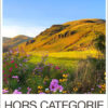 Rượu vang đỏ Hors Categorie Syrah 2018
