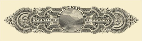 Rượu vang đỏ Promontory 2016