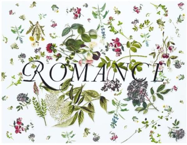 Rượu vang trằng Sandhi Romance Chardonnay 2020