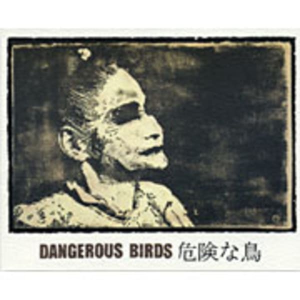 Rượu vang đỏ Sine Qua Non Dangerous Birds Syrah 2007