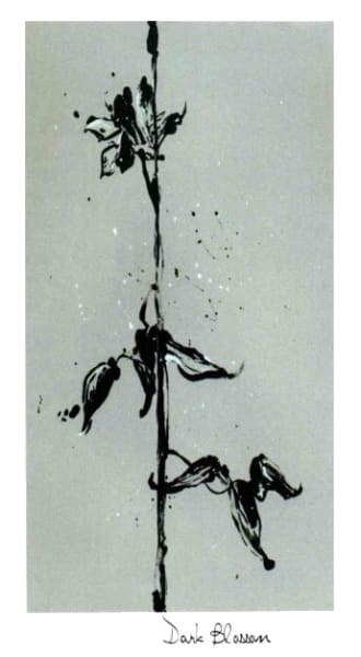 Rượu vang đỏ Sine Qua Non Dark Blossom 2011