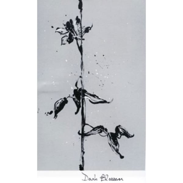 Rượu vang đỏ Sine Qua Non Dark Blossom Syrah (chai Magnum 1,5 lít) 2011